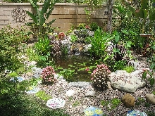 My Koi Pond