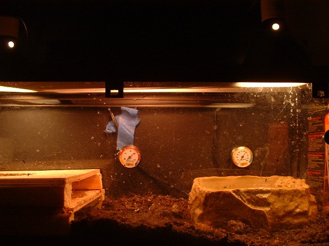 Setup