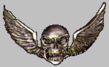skull