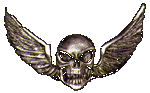 skull