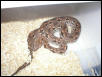 my new baby