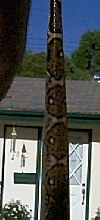 Boa Tail