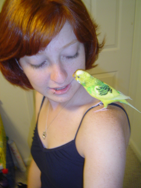 i love my bird