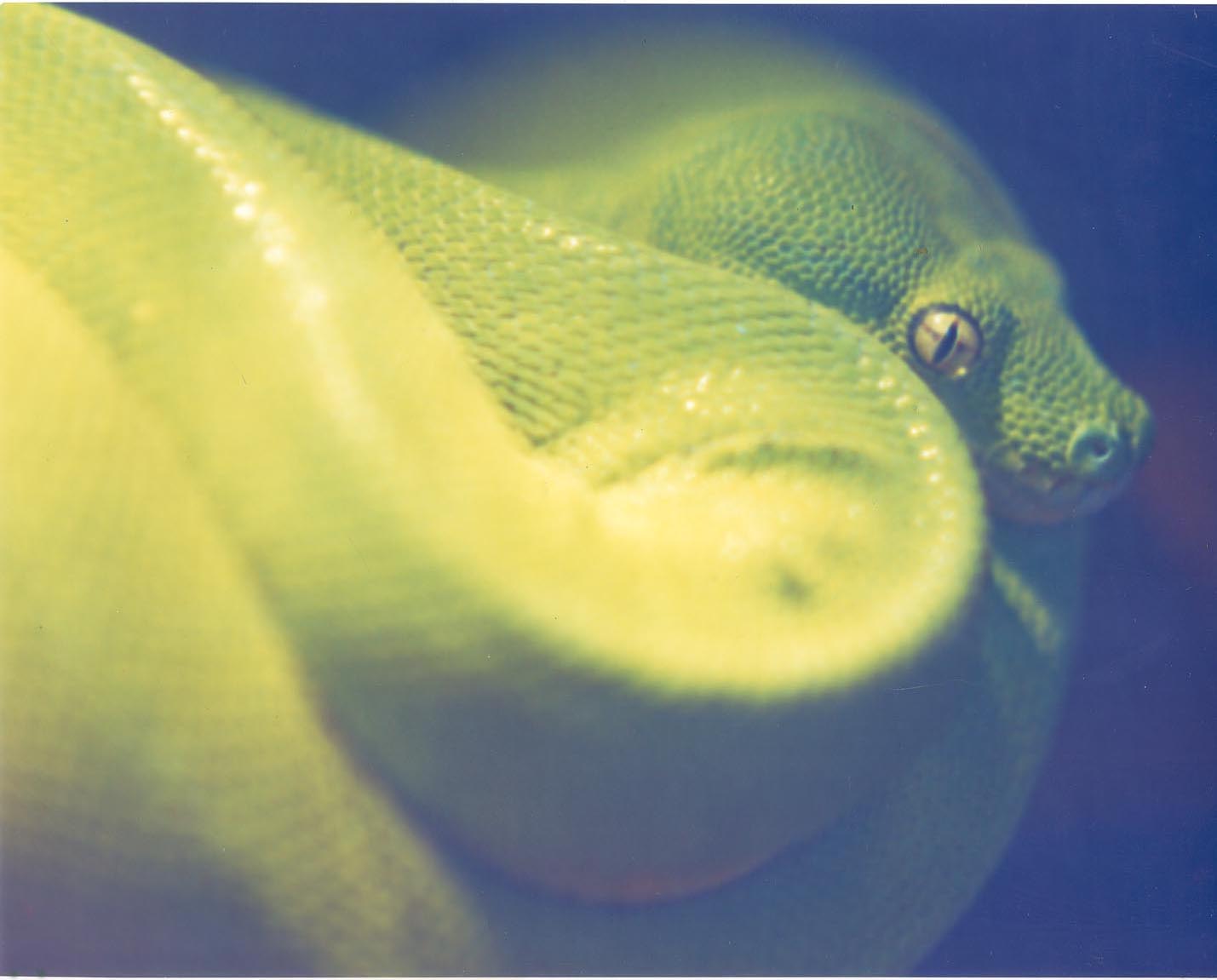GTP