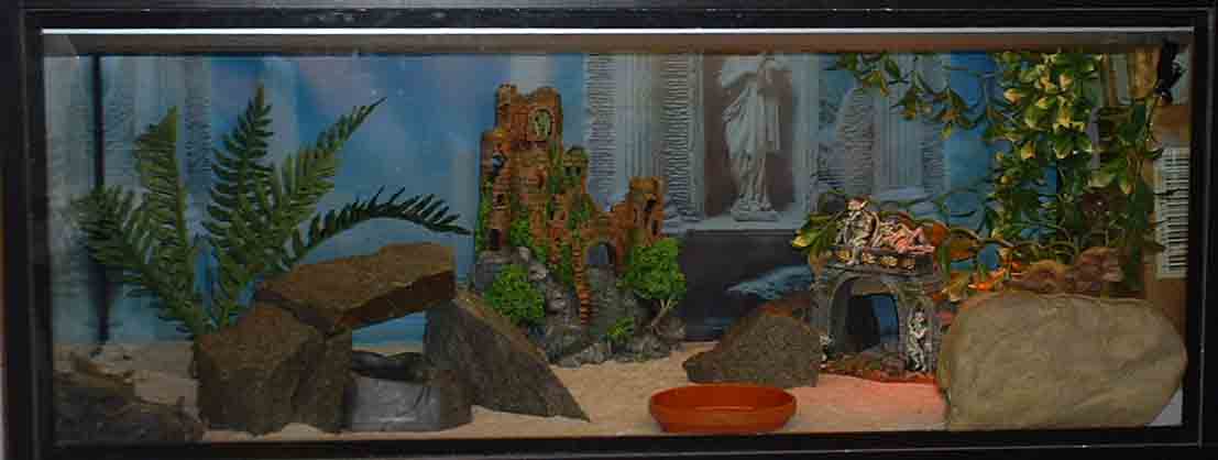 geckland