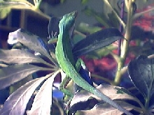 my male 2 years ago