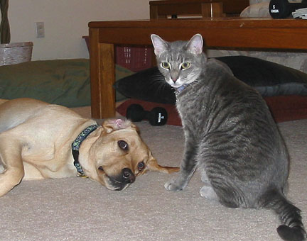 Gracie and Kosmo