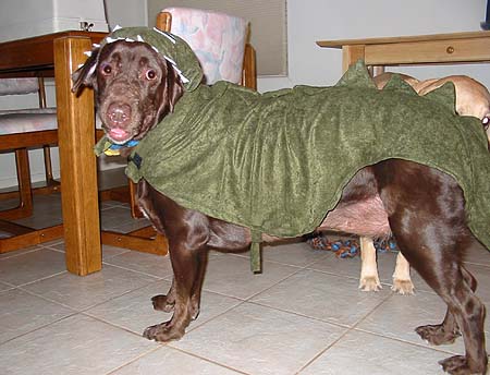 Labzilla