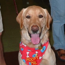 Max
