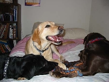 The girls