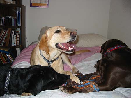 The girls