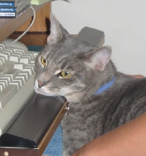 Kosmo