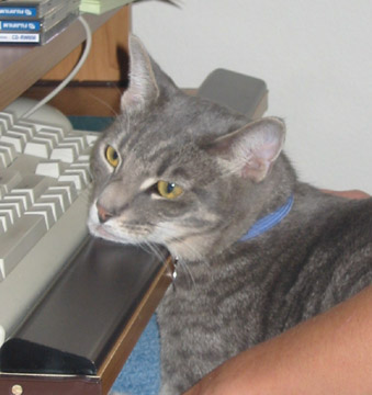 Kosmo