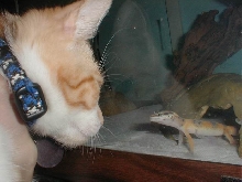 dinner????