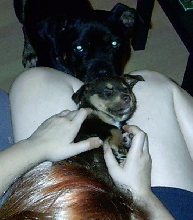 baby rumble