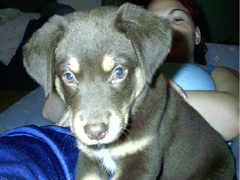 young rumble