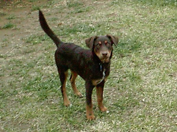 rumble outside 5 months