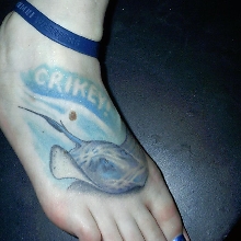 steve irwin memorial tattoo