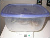 Weigh in