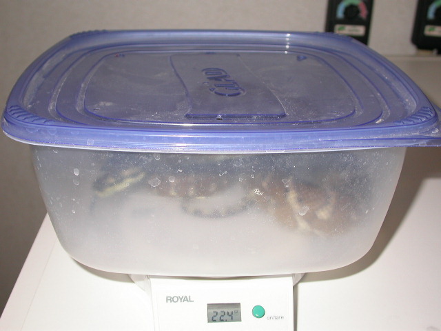 Weigh in