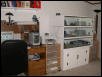 My Snake Den