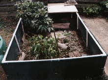 My Outdoor Pen