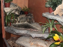 Tegu Spa