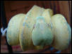 Blue line chondro
