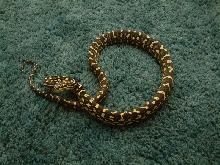 Lazik line female