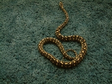 Lazik line female