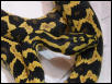 Python Pete line jungle