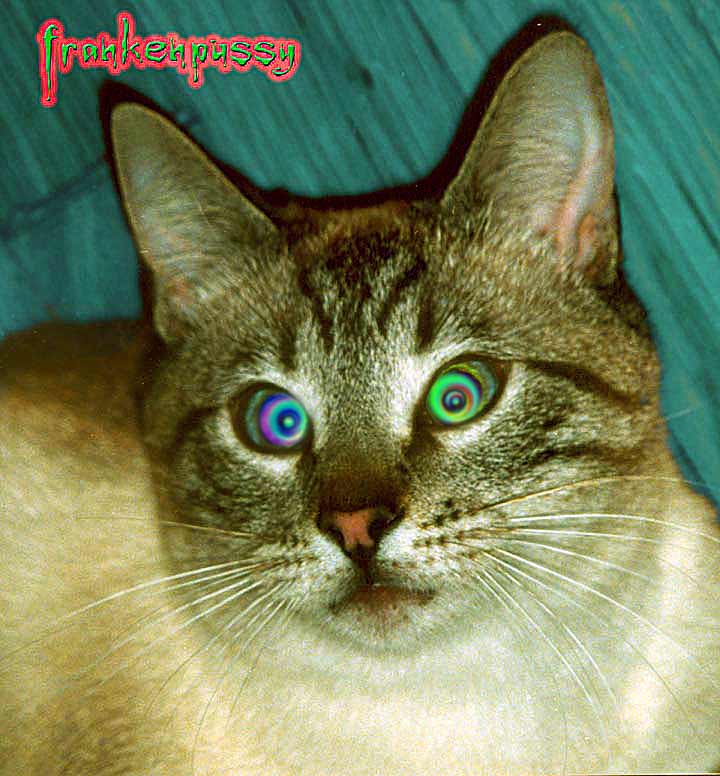 FrankenPussy