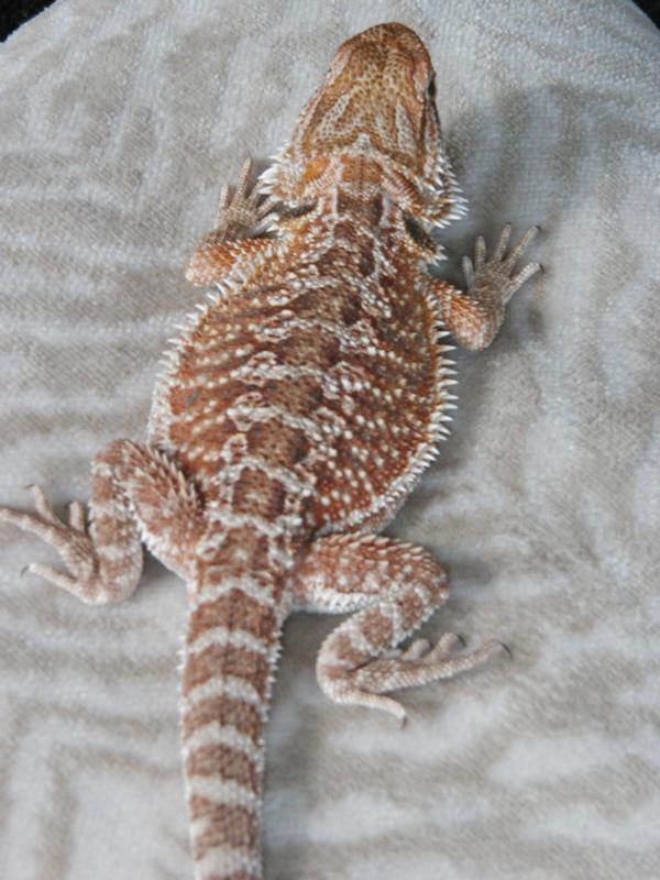 This is Edith!