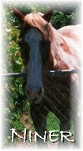 Niner