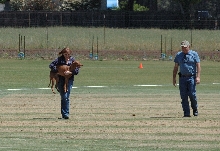 Ruadh_Coursing6