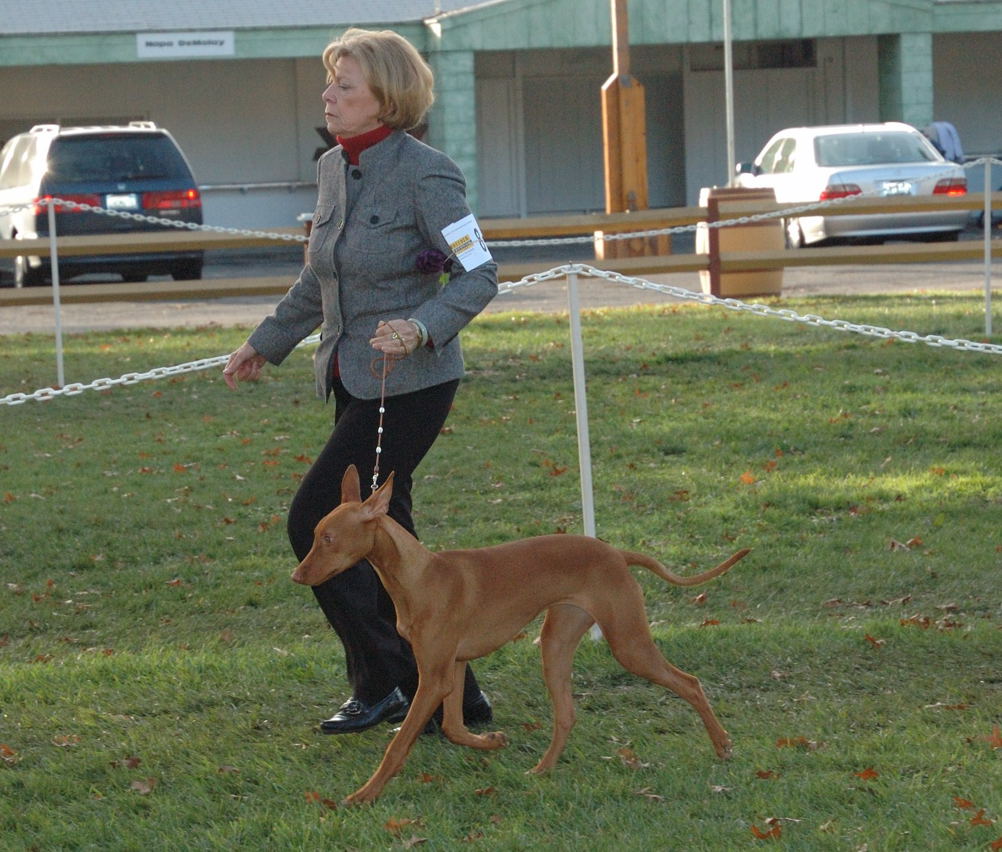 Ruadh _6mos_ Wine Country