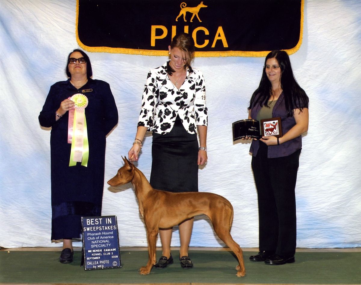 Ruadh -best in sweeps at National