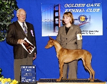 Ruadh_Golden Gate