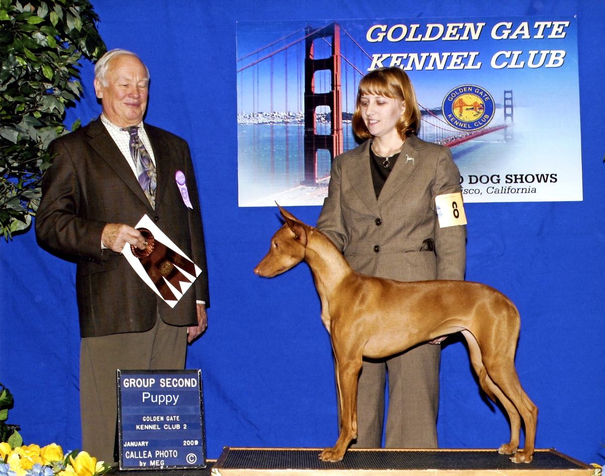 Ruadh_Golden Gate