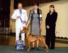 Ruadh Major at National