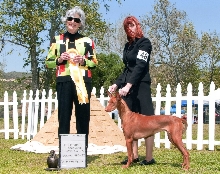 Ruadh Western 2010