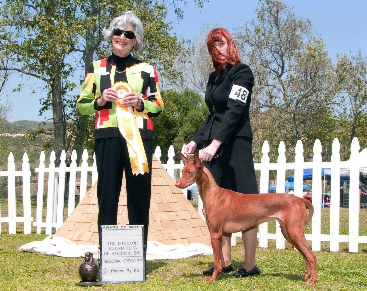 Ruadh Western 2010