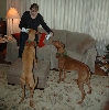 Harper-Farrow Xmas