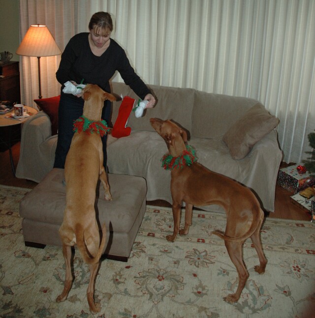 Harper-Farrow Xmas