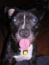 marley