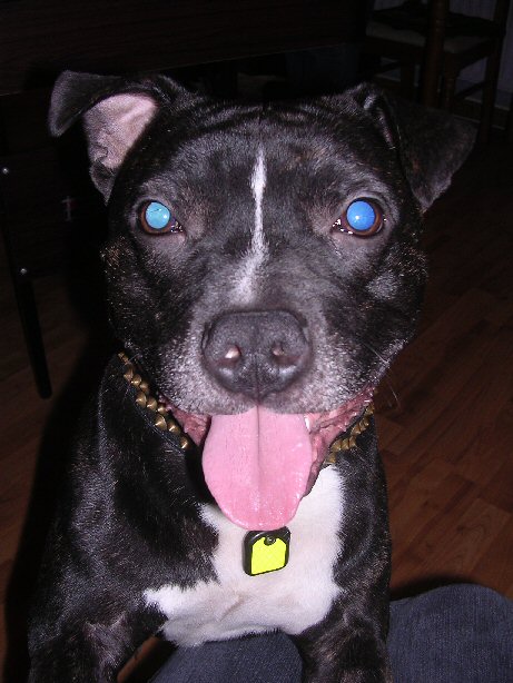 marley
