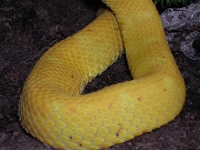 closeup pattern