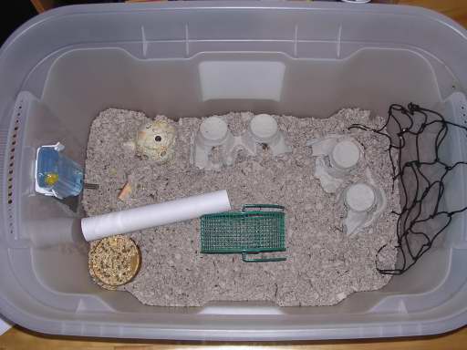 Homemade mousecage