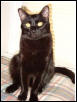 Monty