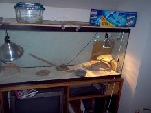 Setup v2
